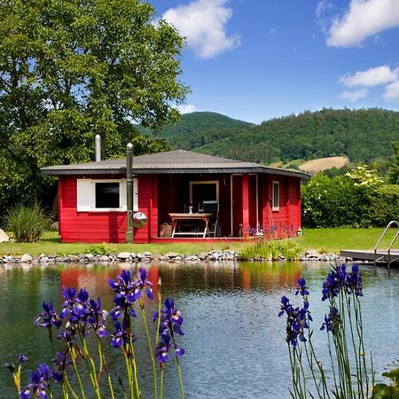 Romantic Wooden Lodge,Sauna,Schwimmteich,Alleinstehend,Absolut Ruhig Hessisch Oldendorf Exterior foto